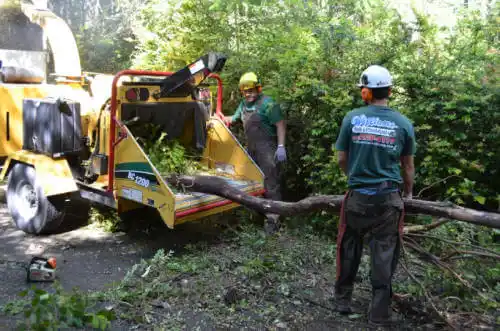 tree services Trussville